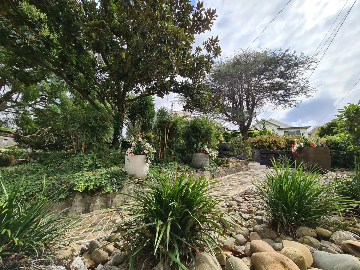 Image 3 of Bamboo House, Close to the City & Airport & Train station and Brighton Le Sands Beach
