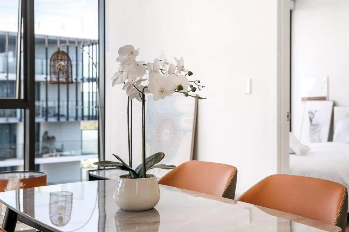 Image 2 of Executive Family Suite in Heart of Macquarie Park
