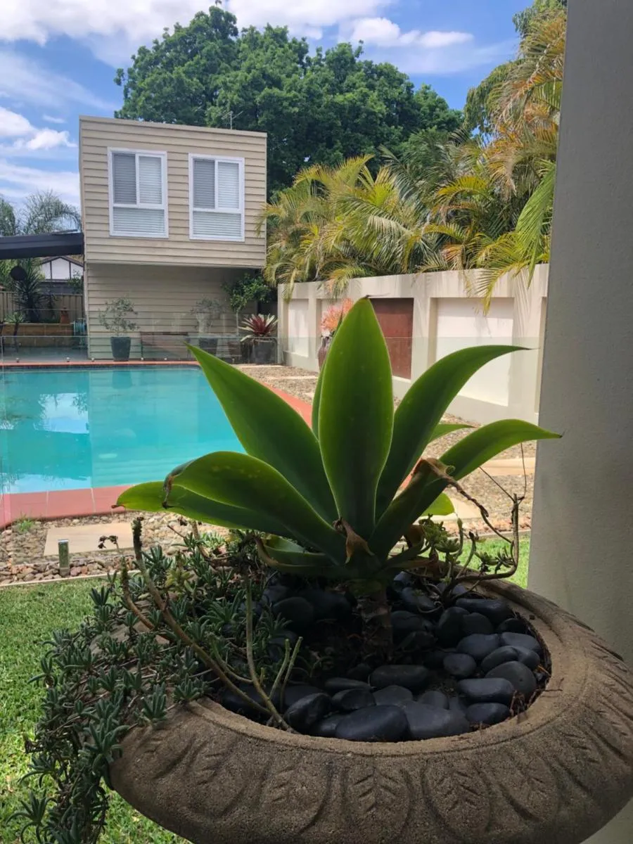 Image 2 of Guesthouse with Pool & BBQ – 10 kms from CBD