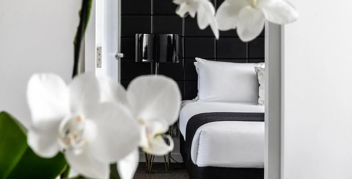 Image 1 of KOZYGURU Chatswood Luxury Studio Walk to Chatswood Chase NCH088-721