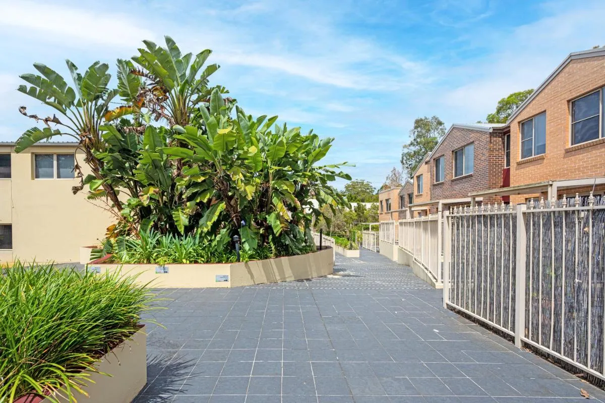 Image 6 of Marsfield New Modern Townhouse