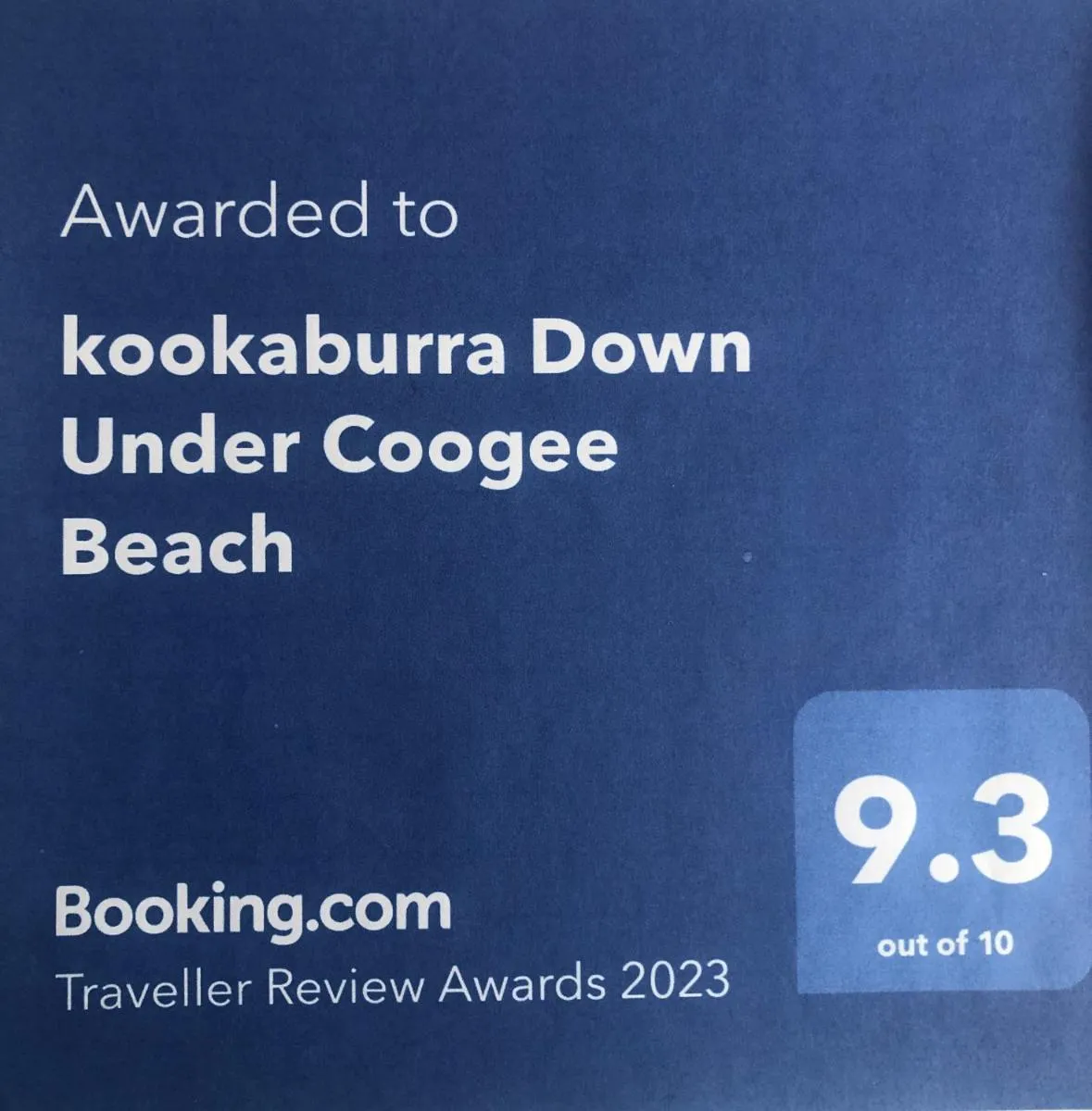 Image 3 of kookaburra Down Under Coogee Beach