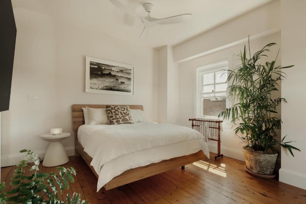 Image of The Berkley Studio